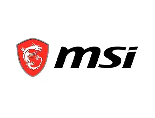 MSI